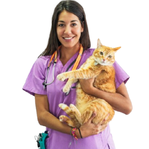 Veterinaria Inicio